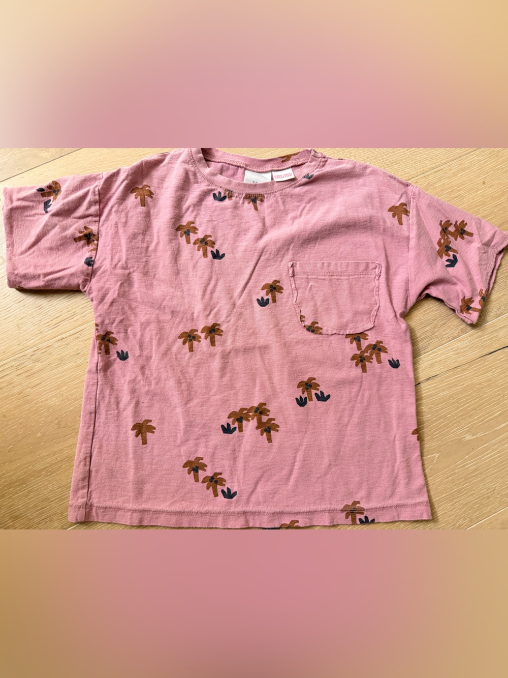 Zara Pink Short-Sleeve Tee with Brown & Navy Leaf Print